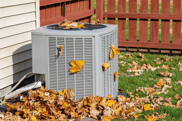 Best Local HVAC companies  in Port Wentworth, GA